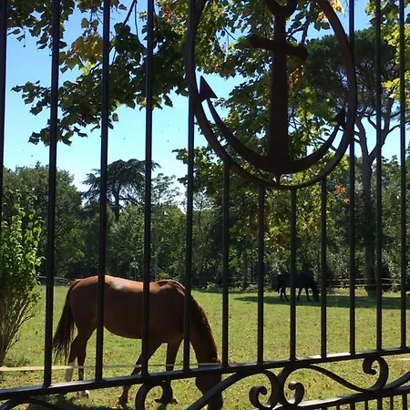 Chateau Du Go Pensionat Albi
