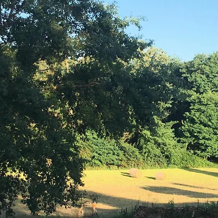 Pensionat Chateau Du Go Albi