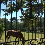 Chateau Du Go Pensión Albi