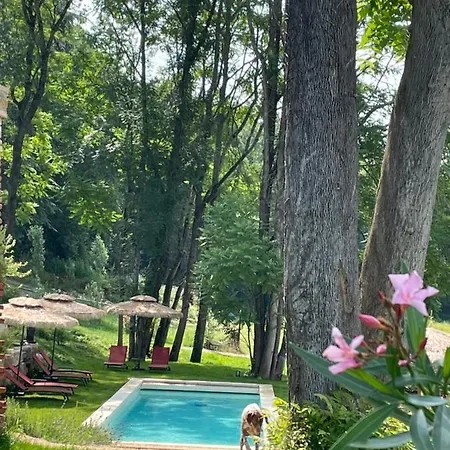 Chateau Du Go 4* Albi