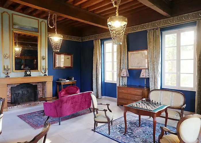 Chateau Du Go 4* Albi